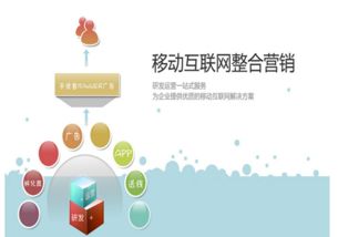 邵明宇的互聯網營銷模式與銷售策略解析